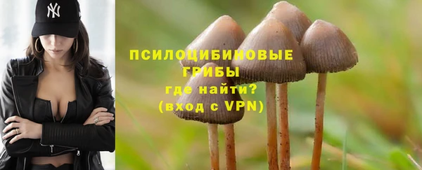 прущая мука Арсеньев