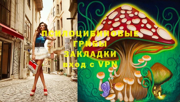 прущая мука Арсеньев