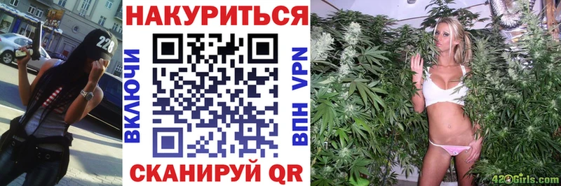 Бошки Шишки ГИДРОПОН  Купить  Ленинградская 